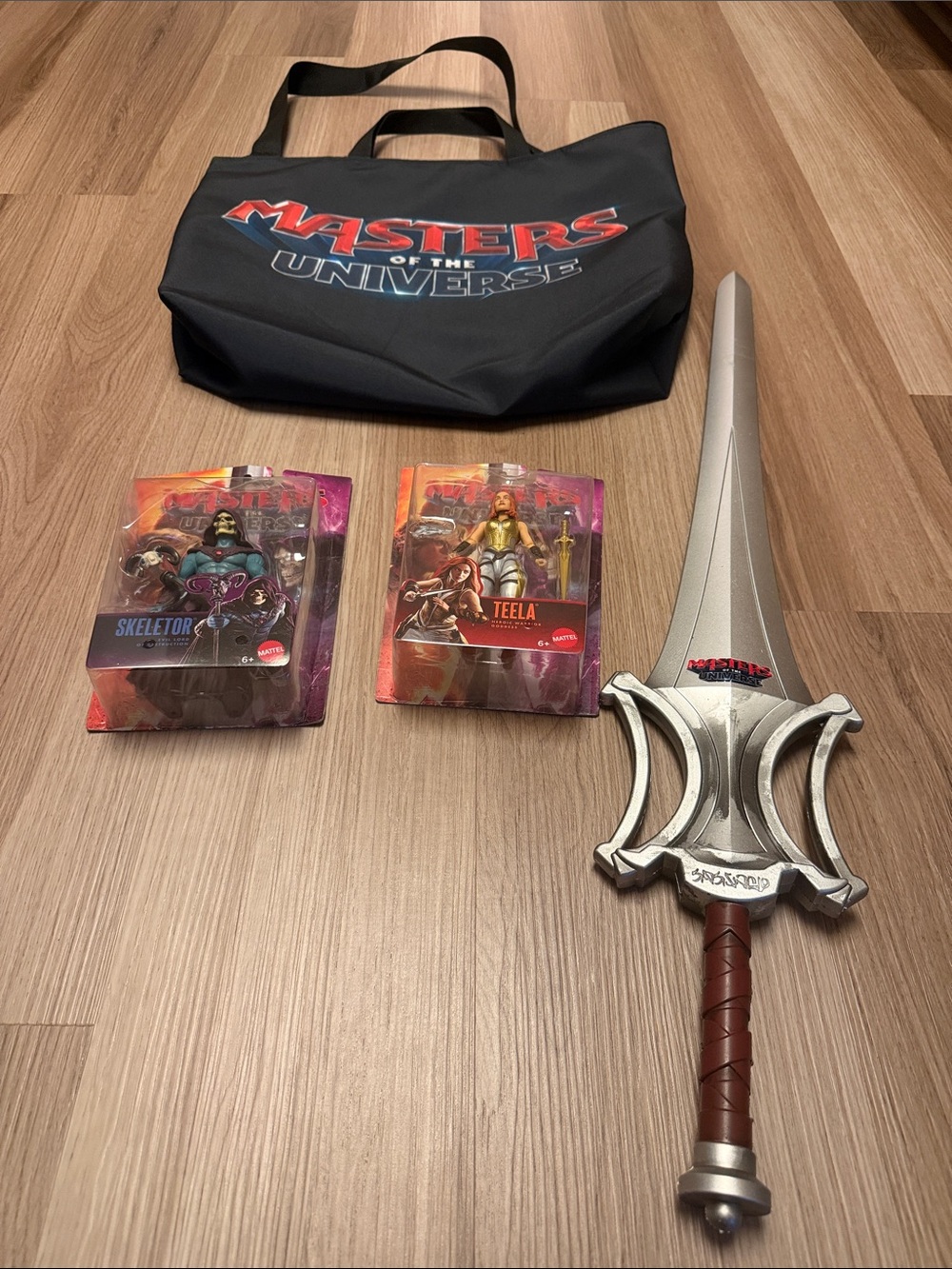 New Masters of the Universe Tote, Sword & Action Figures Set
